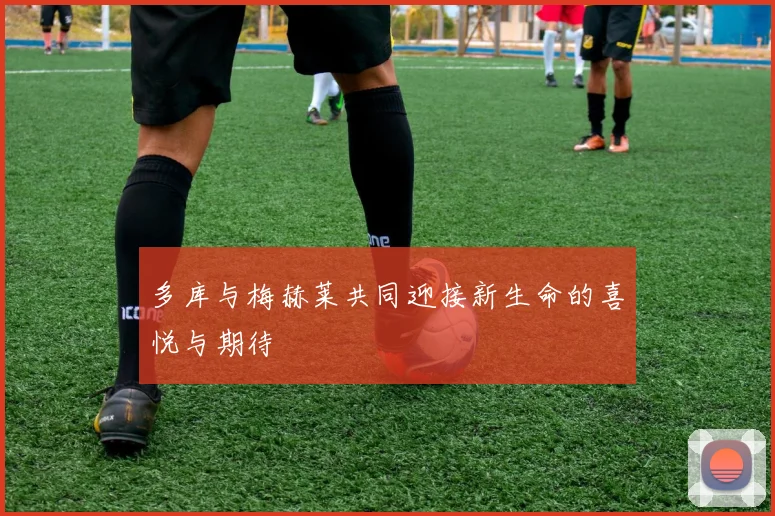 多库与梅赫莱共同迎接新生命的喜悦与期待