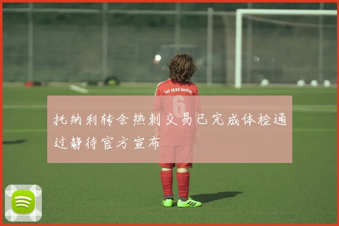 托纳利转会热刺交易已完成体检通过静待官方宣布